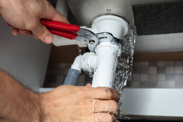 Best Flooded house restoration  in , MT