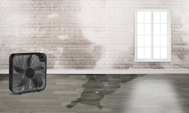 Best Water damage restoration cost  in , MT