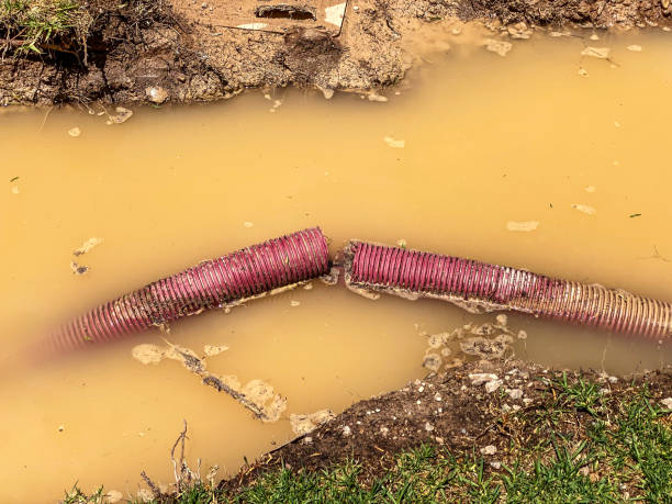 Best Sewage cleanup and water damage restoration  in , MT