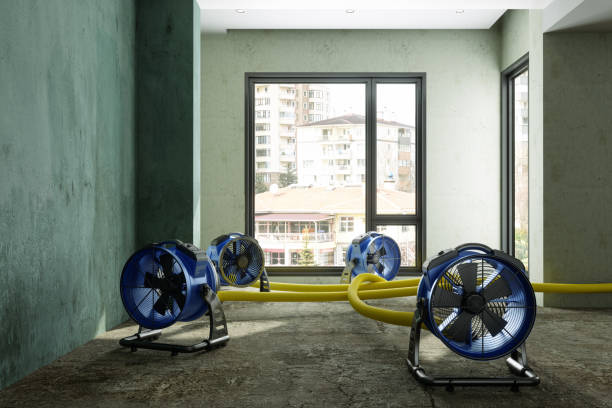 Best Flood restoration services  in , MT